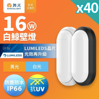 40入組 舞光 1-2坪 16W白鯨LED壁燈 抗UV 一體式快裝 IP66防塵防水 時尚白/貴族黑(白光/黃光)