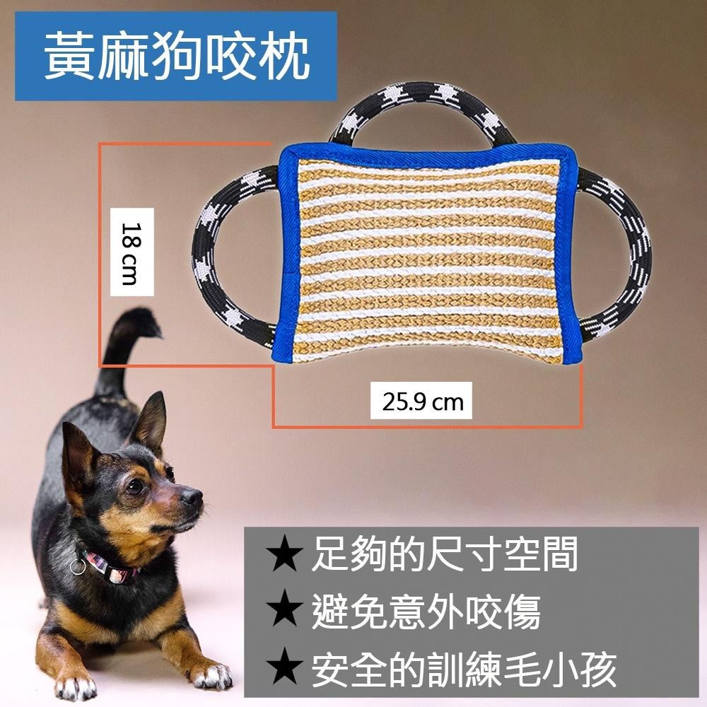 【美國GALERDO】Dog Bite Pillow 露營野趣狗咬枕 狗狗健身器材 互動訓練遊戲專用-細節圖2