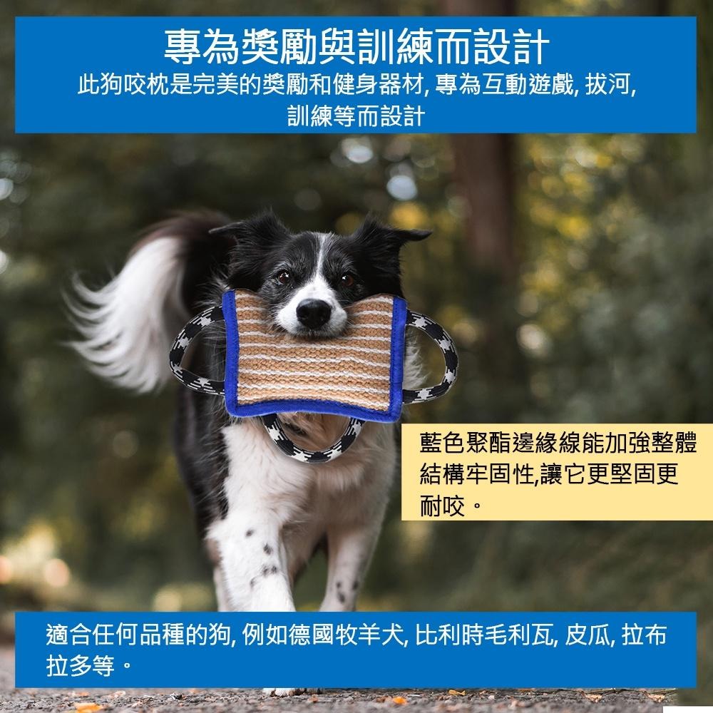 【美國GALERDO】Dog Bite Pillow 露營野趣狗咬枕 狗狗健身器材 互動訓練遊戲專用-細節圖6