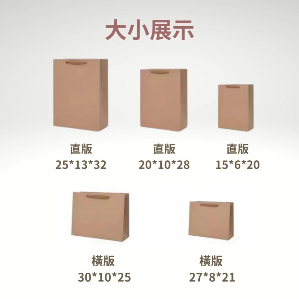 【CARA MIA】高檔絲帶紙袋 禮物袋 紙袋 提袋 禮品袋-細節圖3