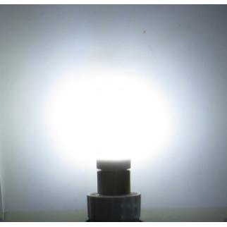 LED E12/E14/E17國民燈泡(冰箱燈可用) 5W 白光/暖光 小夜燈神明燈檯燈 110V電壓-細節圖4