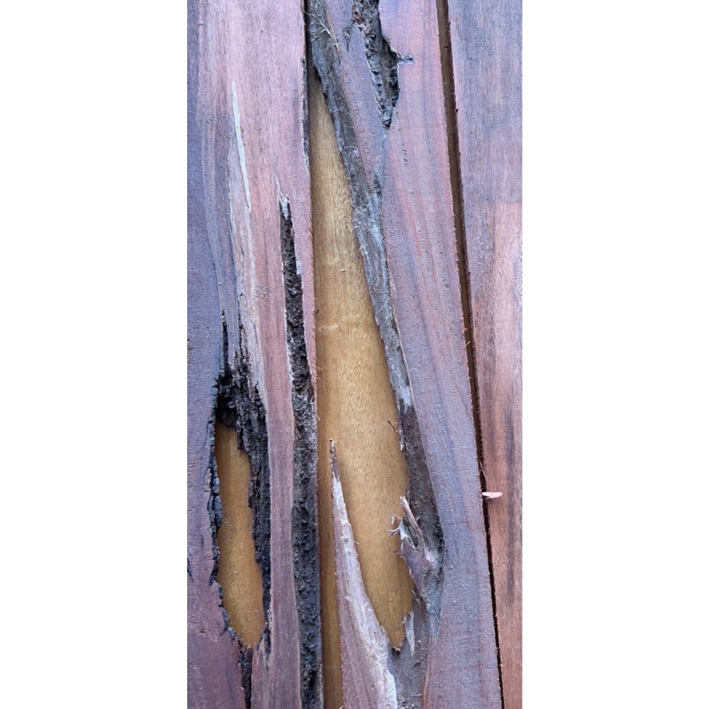 雷擊木能量牌-規格圖1