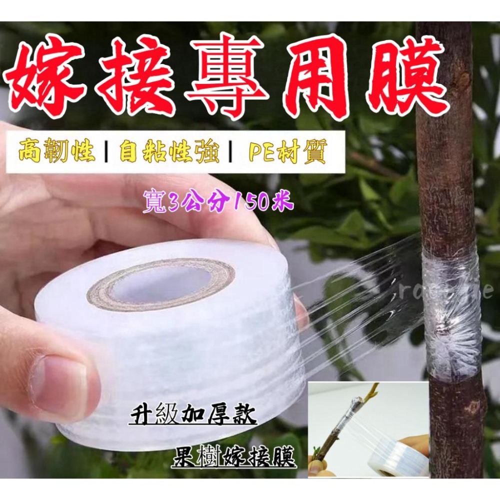 現貨 嫁接刀 嫁 木 樹 嫁接刀 專業嫁接刀 尖尾刀 嫁接剪 接木刀 家 園藝果樹嫁接刀-細節圖7