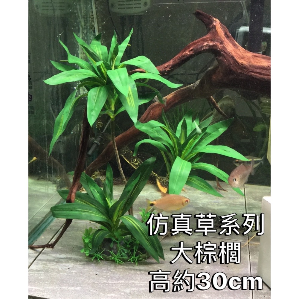 大棕櫚水族假草-規格圖1