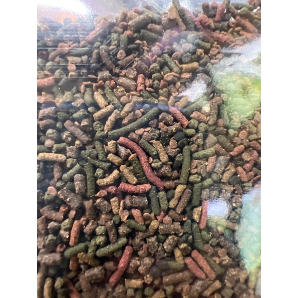 臥龍亞魚大力丸（4-12cm異型）-規格圖2