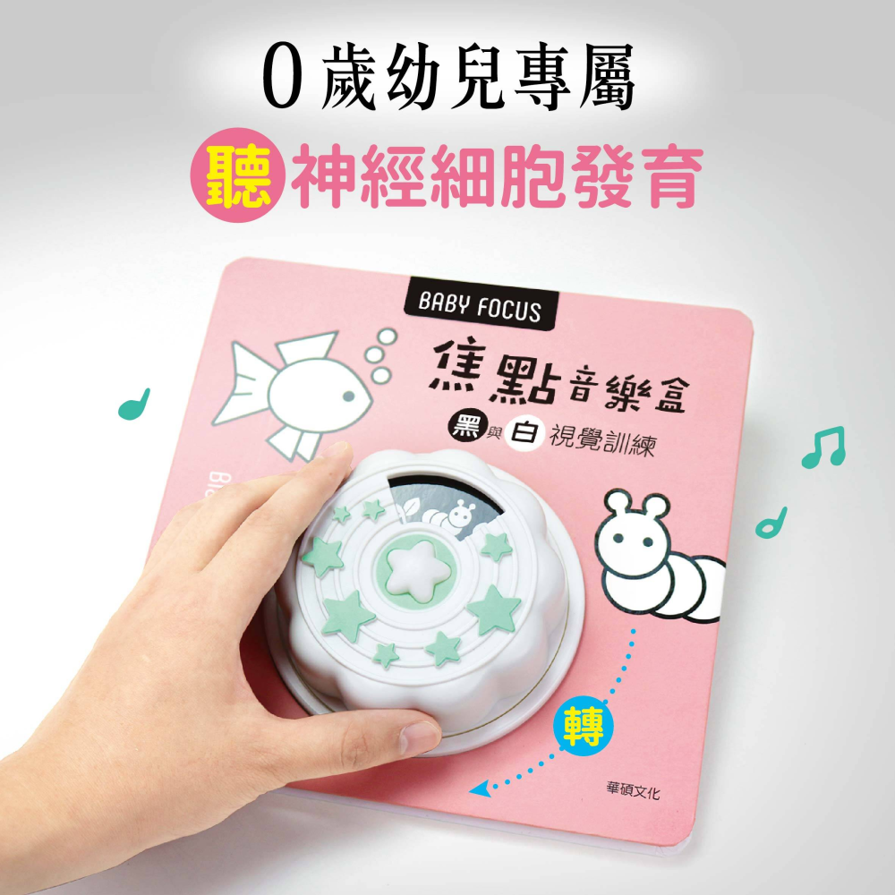 焦點音樂盒-細節圖4