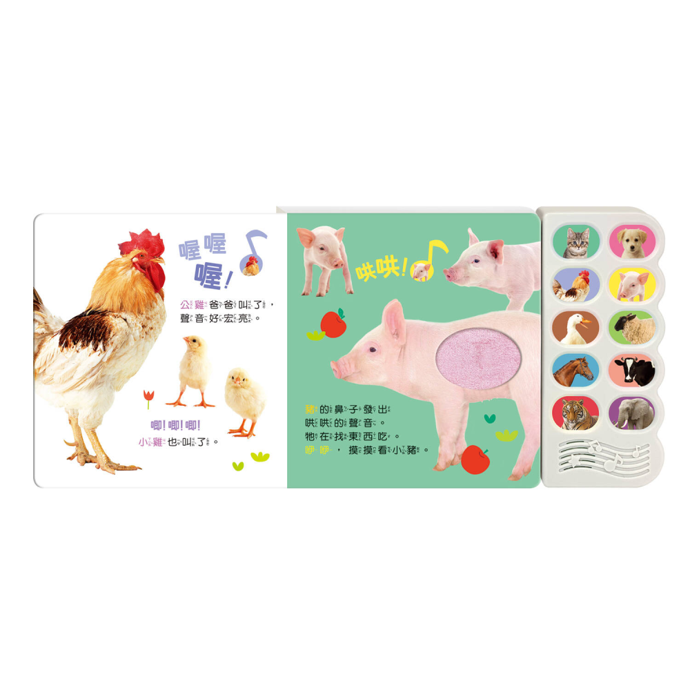 汪汪，認識小狗和牠的朋友-細節圖2