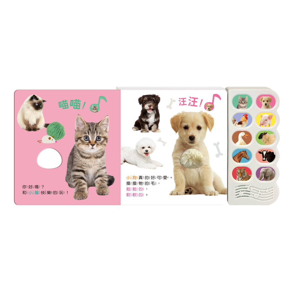 汪汪，認識小狗和牠的朋友-細節圖3