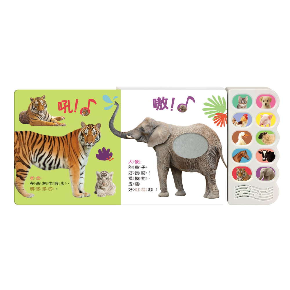 汪汪，認識小狗和牠的朋友-細節圖4