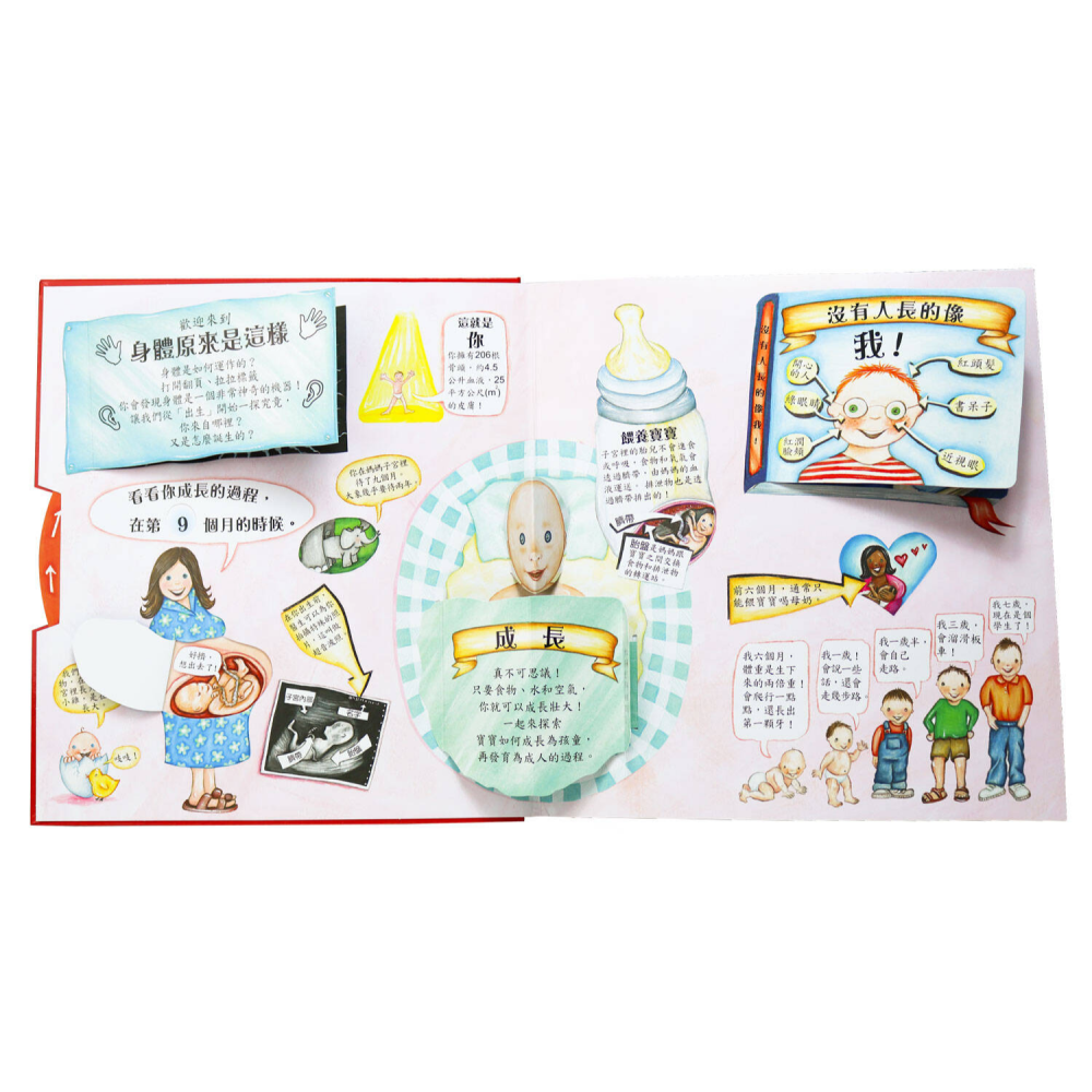 身體原來是這樣-細節圖3