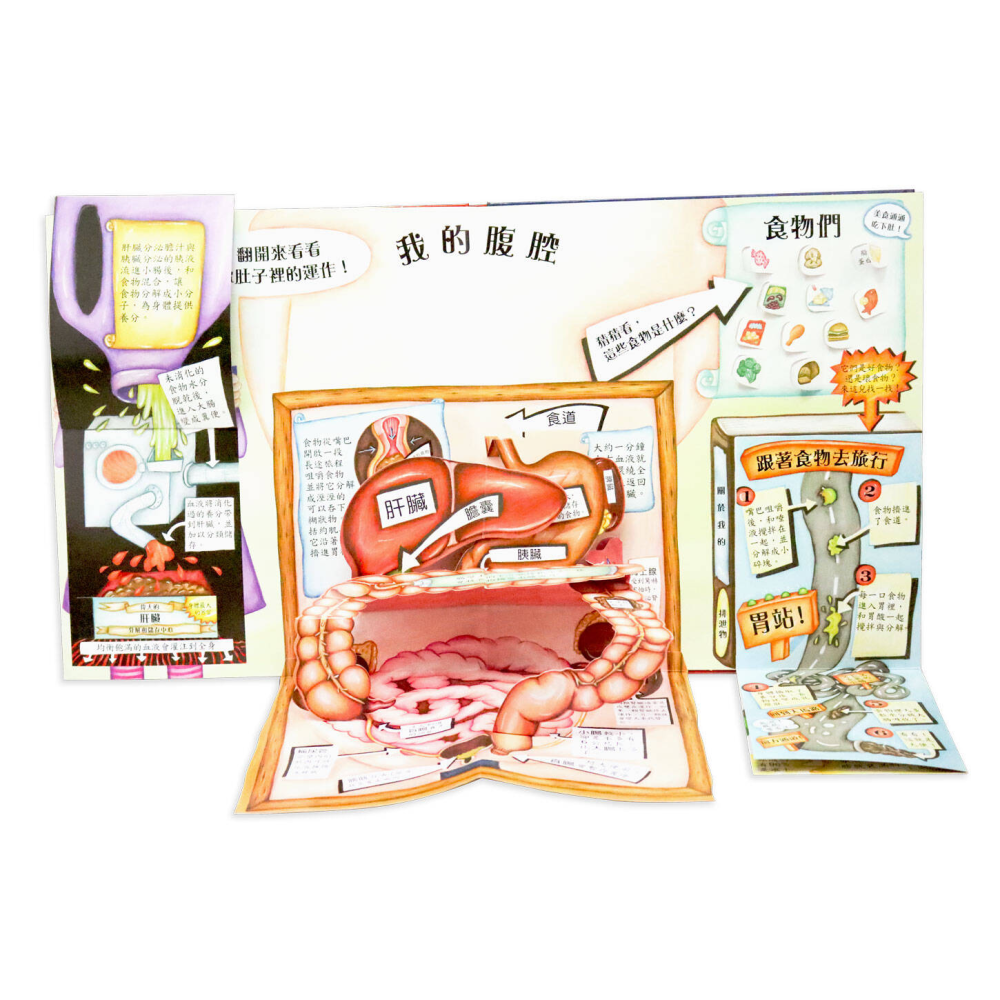 身體原來是這樣-細節圖6