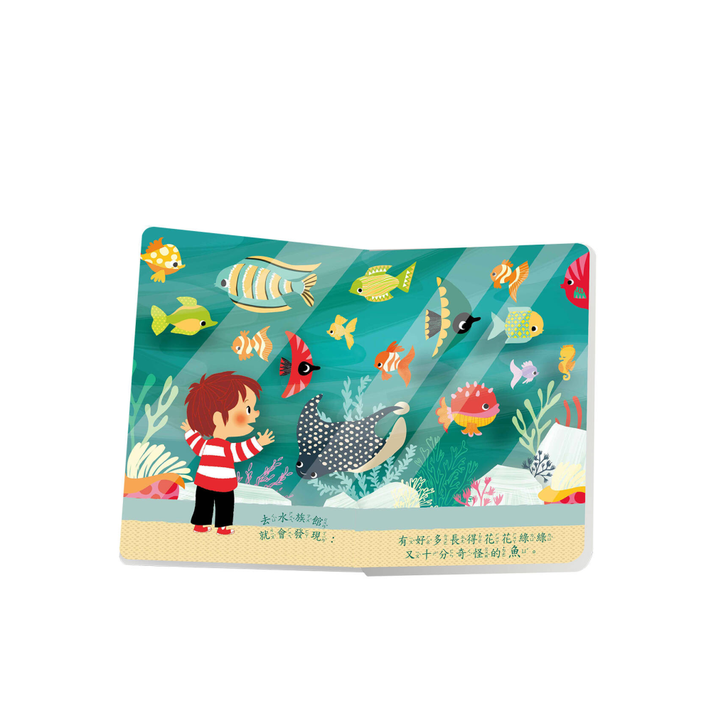 跟爸爸一起釣魚遊戲組-細節圖4