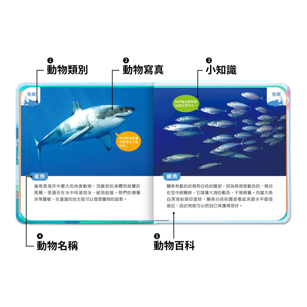 前進動物王國丨有聲投影手電筒系列-細節圖7