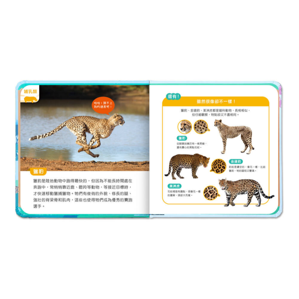 前進動物王國丨有聲投影手電筒系列-細節圖8