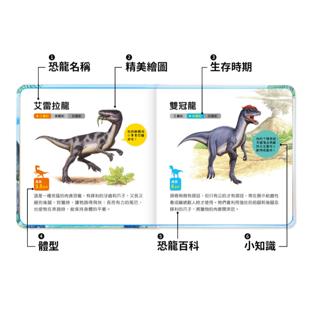 吼~吼~ 恐龍來了丨有聲投影手電筒系列-細節圖7