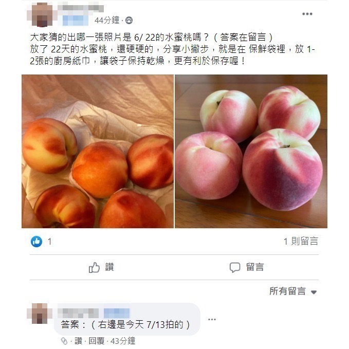 「備料好幫手」「蔬菜囤起來」「雞蛋保鮮」台灣製造！熱銷商品「第二代蔬果保鮮袋：5斤立體版」-細節圖4