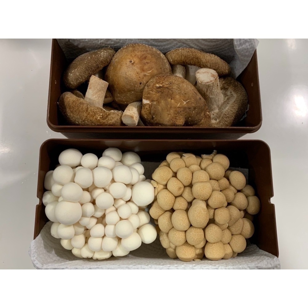 「備料好幫手」「蔬菜囤起來」「雞蛋保鮮」台灣製造！熱銷商品「第二代蔬果保鮮袋：5斤立體版」-細節圖7