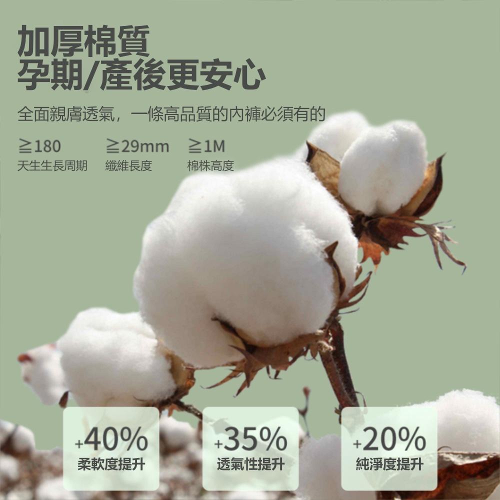 『熊愛貝百貨』女用旅用拋棄式棉質免洗內褲加厚款坐月子中心生產生理期日拋內褲-細節圖2