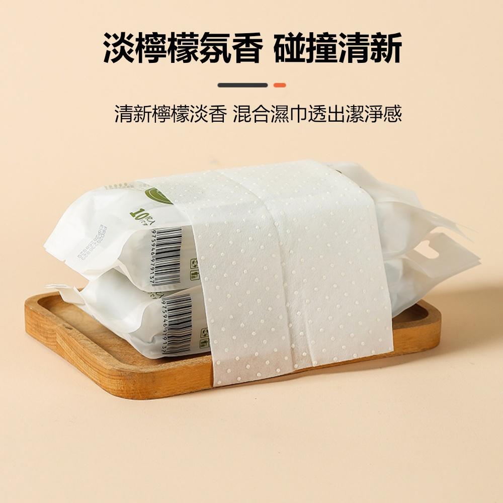 『熊愛貝百貨』衣物鞋類清潔濕紙巾便攜式衣服報污濕巾應急去漬免洗清潔巾十入組-細節圖3