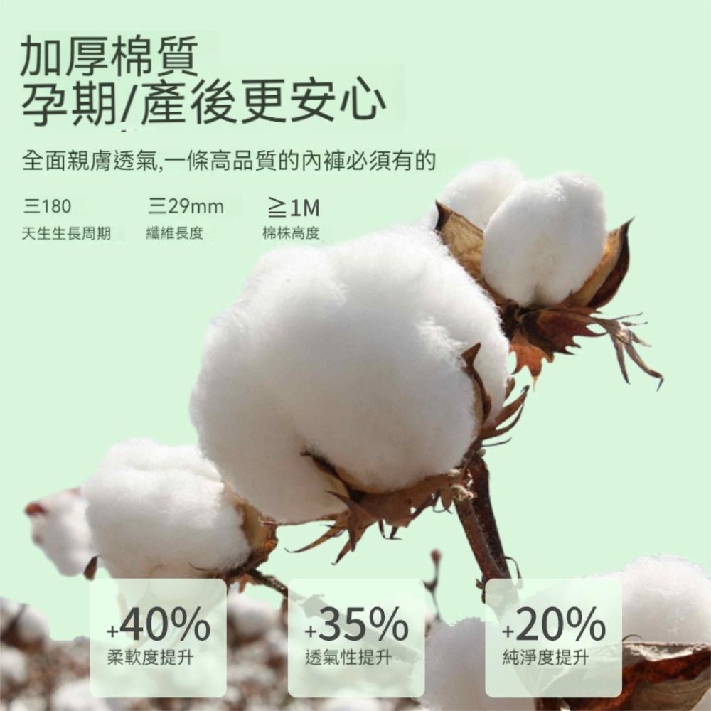 『熊愛貝百貨』出差旅遊出國泡湯游泳便攜式滅菌型棉質內褲拋棄式女用內褲-細節圖4