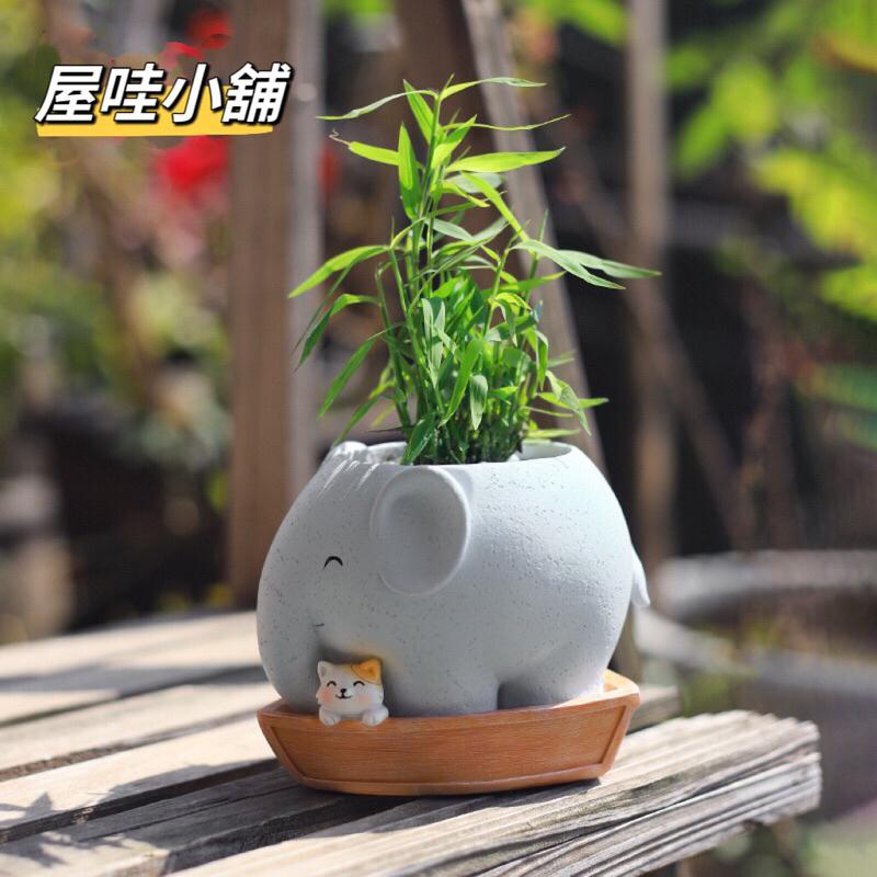 台灣現貨🎉大象 貓咪 司馬光 曹沖 多肉 花盆-細節圖2