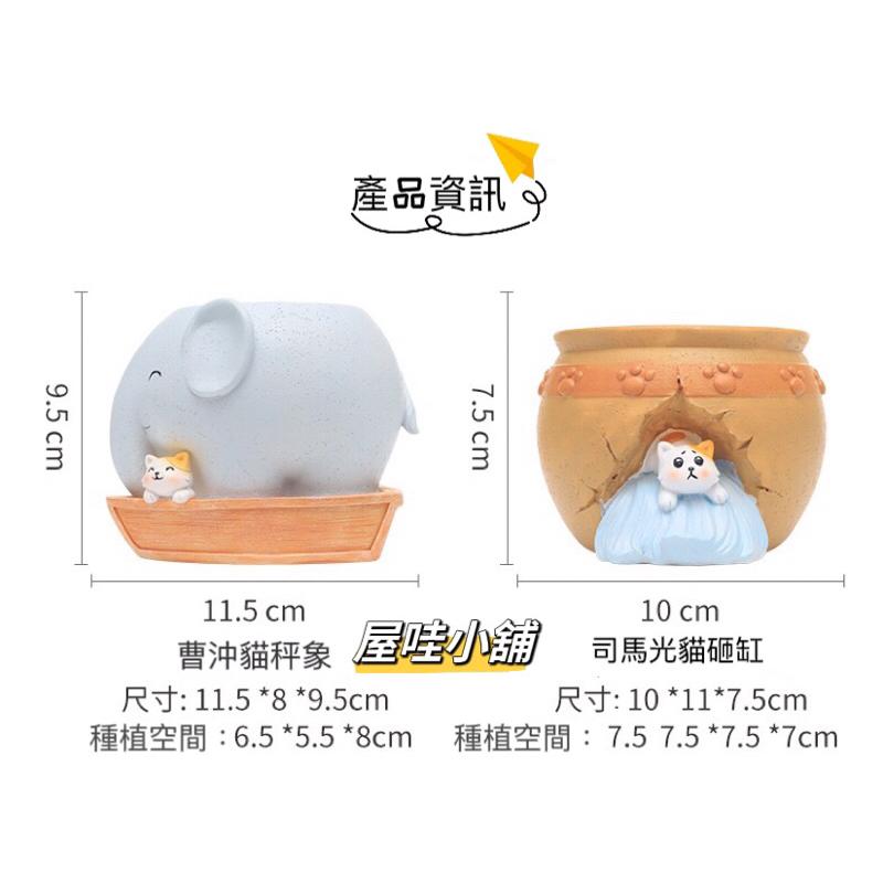 台灣現貨🎉大象 貓咪 司馬光 曹沖 多肉 花盆-細節圖4