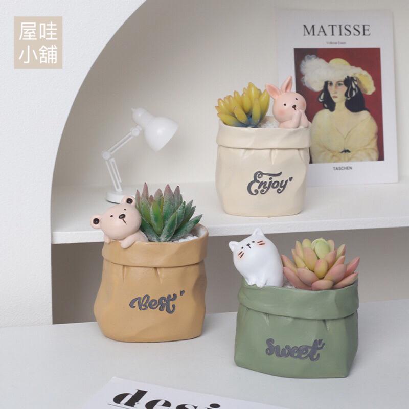 ［屋哇🎉台灣現貨］小熊 兔子 貓咪 狗狗 貓  熊 多肉 紙袋 貓 花盆-細節圖2