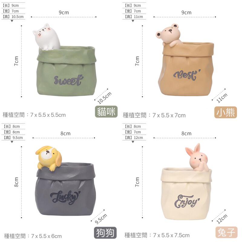 ［屋哇🎉台灣現貨］小熊 兔子 貓咪 狗狗 貓  熊 多肉 紙袋 貓 花盆-細節圖4