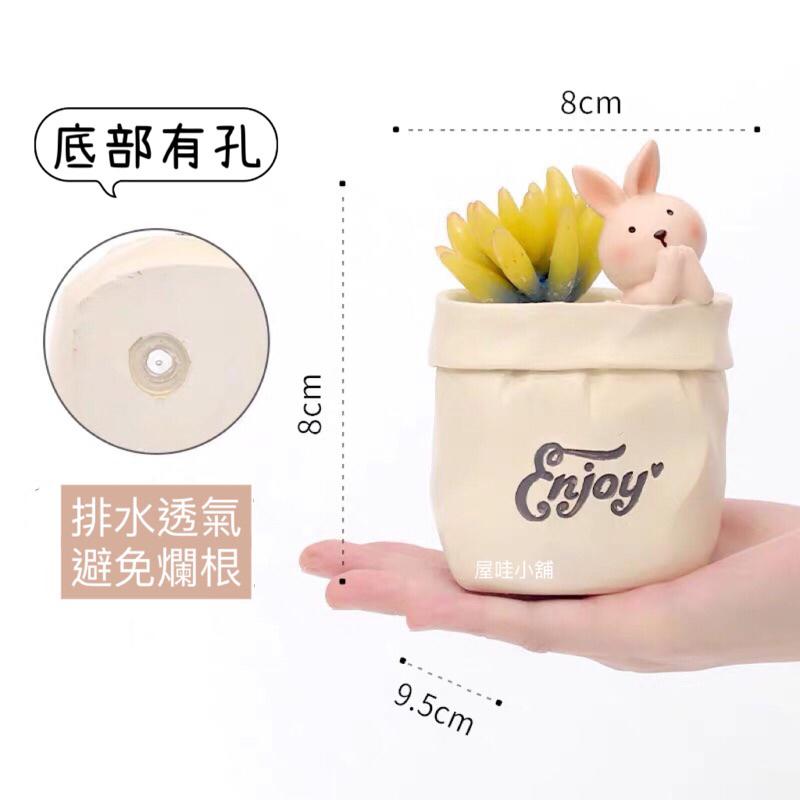 ［屋哇🎉台灣現貨］小熊 兔子 貓咪 狗狗 貓  熊 多肉 紙袋 貓 花盆-細節圖7