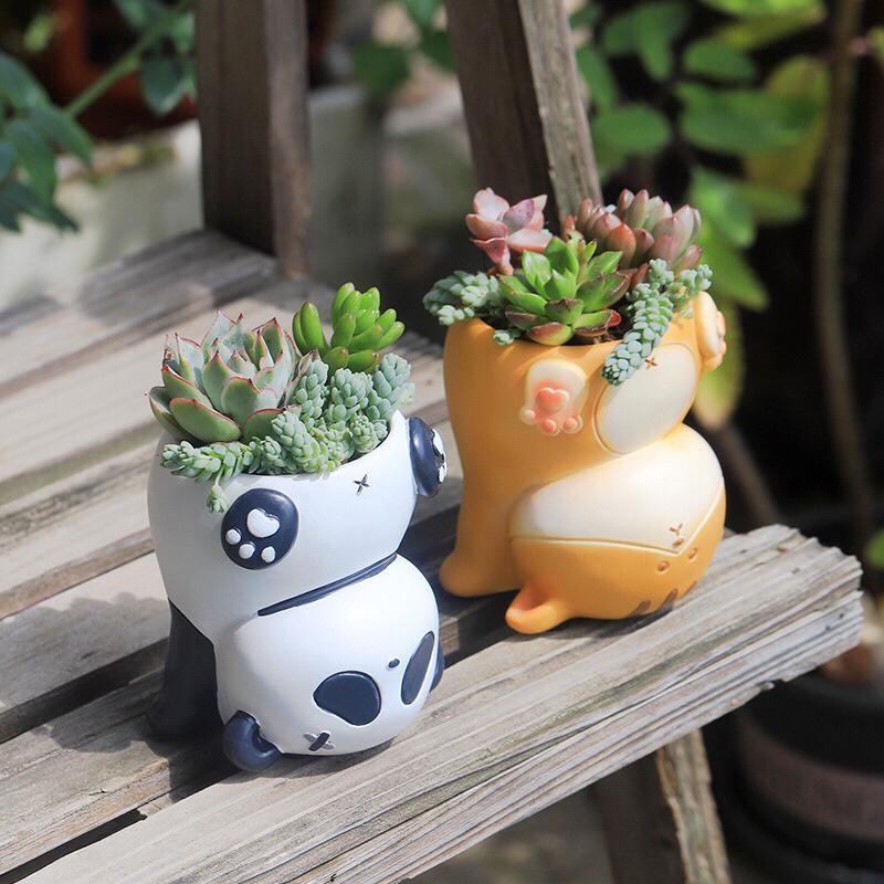 限量商品🥰倒立 動物 花盆 豬 貓 熊貓 鬥牛犬 橘貓 盆栽-細節圖2