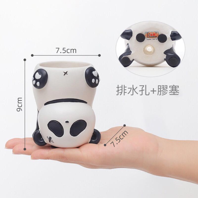 限量商品🥰倒立 動物 花盆 豬 貓 熊貓 鬥牛犬 橘貓 盆栽-細節圖5