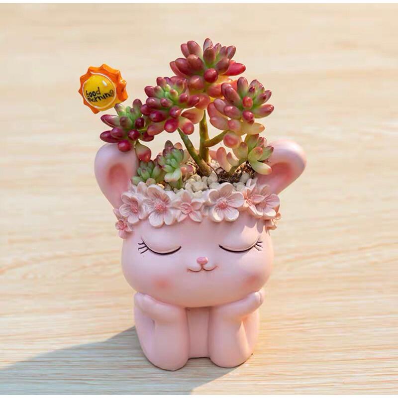 【屋哇🌹台灣現貨】花 熊 兔 貓 狗 熊貓 花圈  動物 創意 花盆 筆筒-細節圖7