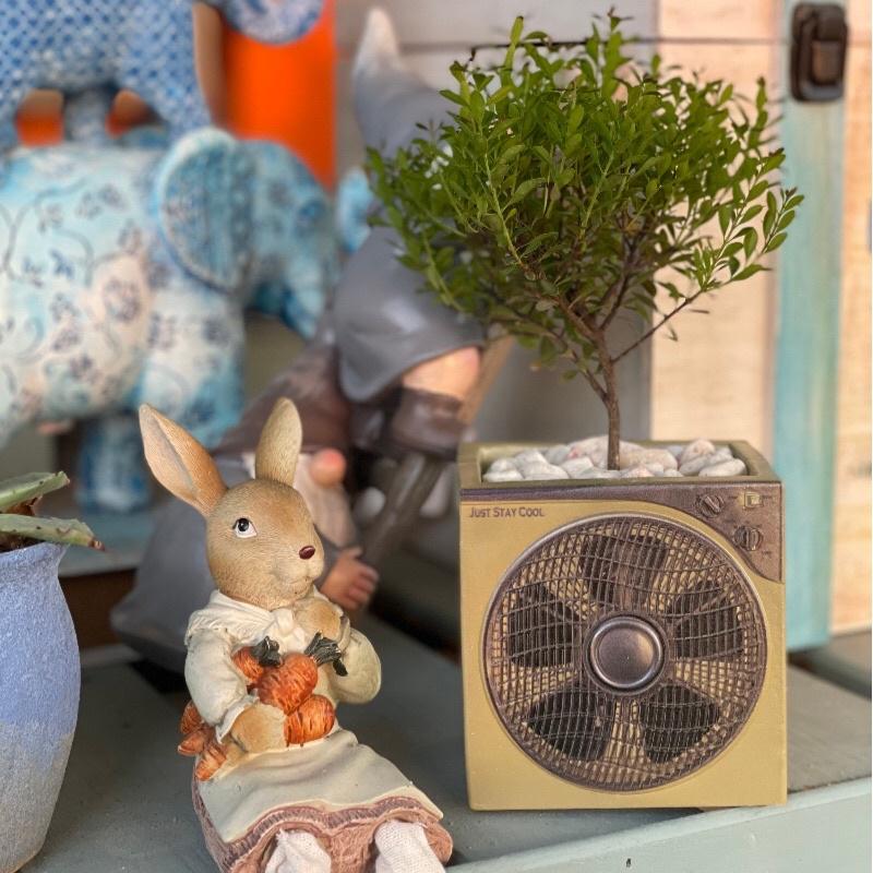 ［屋哇🔥台灣現貨］電扇 電風扇 多肉 觀葉 花盆 植栽-細節圖2