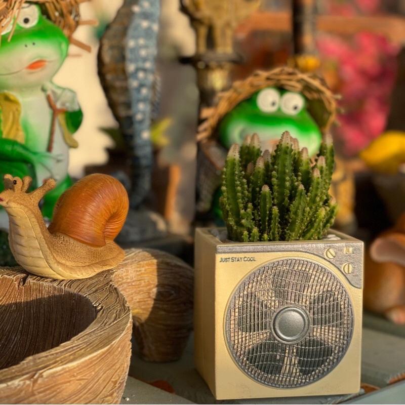 ［屋哇🔥台灣現貨］電扇 電風扇 多肉 觀葉 花盆 植栽-細節圖3