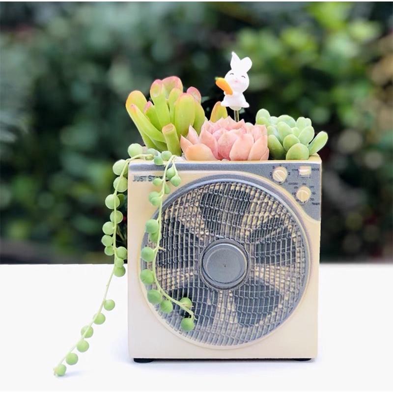 ［屋哇🔥台灣現貨］電扇 電風扇 多肉 觀葉 花盆 植栽-細節圖5