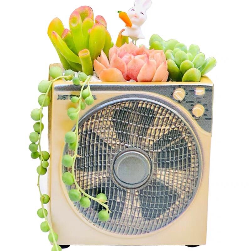 ［屋哇🔥台灣現貨］電扇 電風扇 多肉 觀葉 花盆 植栽-細節圖6