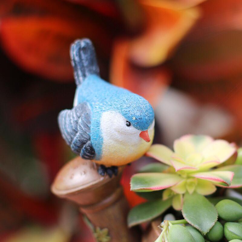 台灣現貨🔥小鳥花灑 多肉 花盆 盆栽 植栽 花器-細節圖2