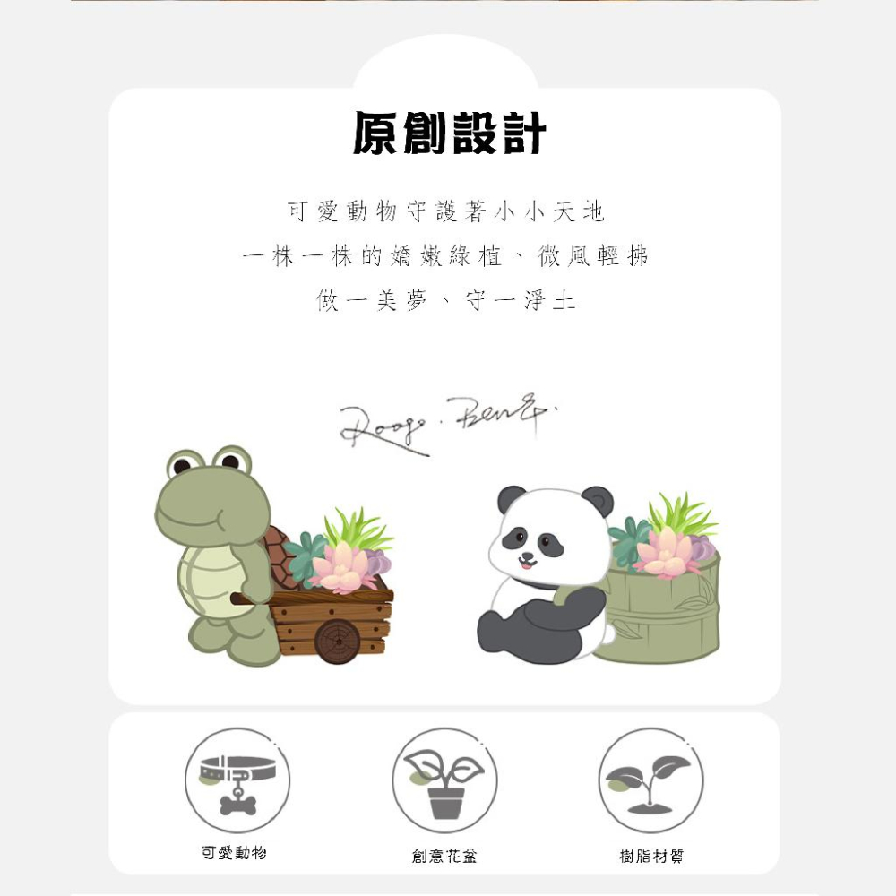 屋哇現貨 ✅可愛動物  兔子 兔兔 熊貓 貓 蝴蝶  烏龜 觀葉 多肉 花盆-細節圖6