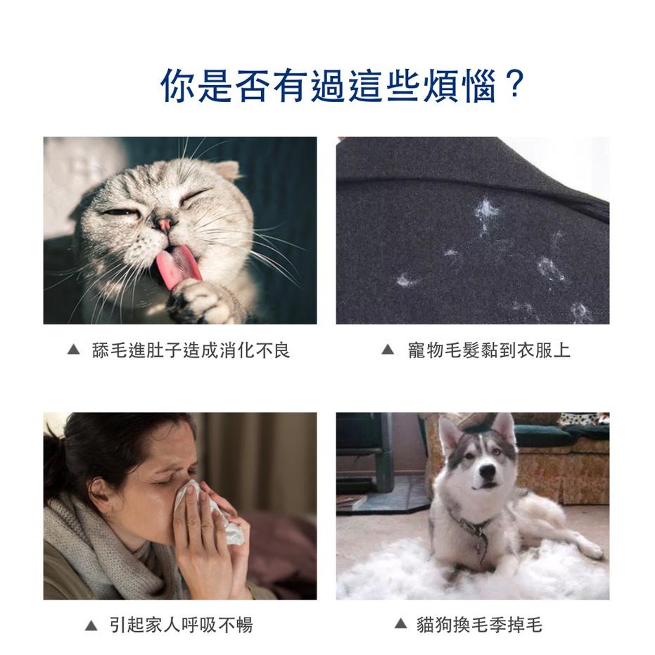 【屋哇🔥現貨】寵物毛梳 寵物擼貓手套 TPR洗澡按摩梳 寵物清潔用品 除毛手套 卡通色 粉色 藍色 橘色 黃色 橙色-細節圖5