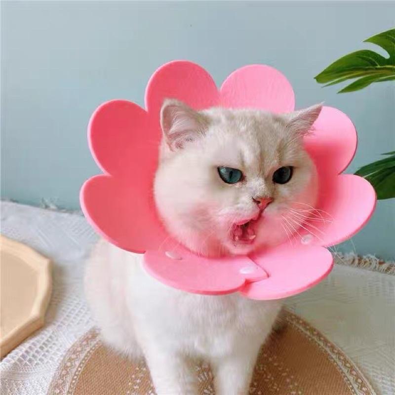 【屋哇☉現貨】 卡扣式 毛氈布  粉色 黃色 橘色 花朵 太陽花圈 頭套 寵物防舔 結紮 手術 細菌感染 眼睛-細節圖2