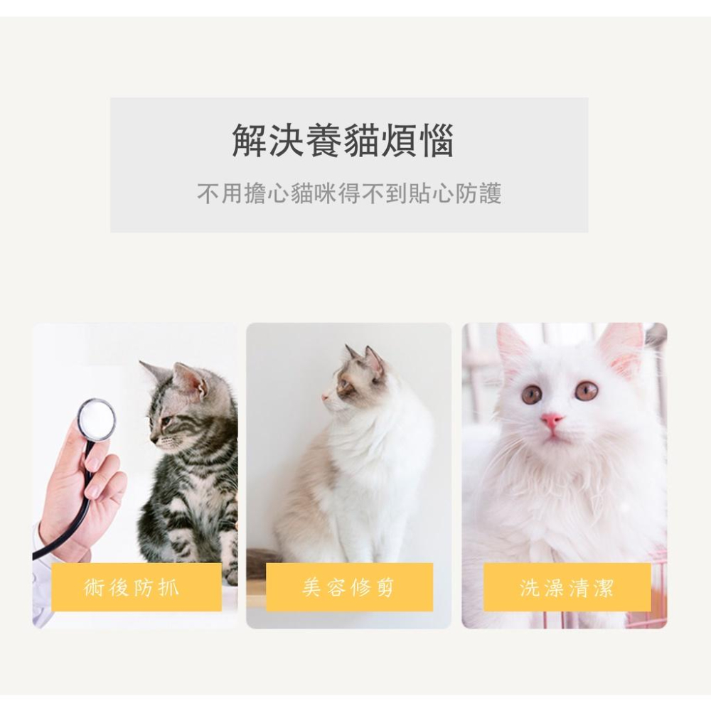 【屋哇☉現貨】 卡扣式 毛氈布  粉色 黃色 橘色 花朵 太陽花圈 頭套 寵物防舔 結紮 手術 細菌感染 眼睛-細節圖4