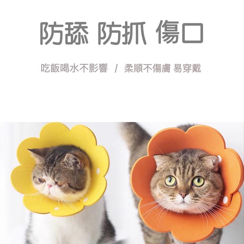 【屋哇☉現貨】 卡扣式 毛氈布  粉色 黃色 橘色 花朵 太陽花圈 頭套 寵物防舔 結紮 手術 細菌感染 眼睛-細節圖5