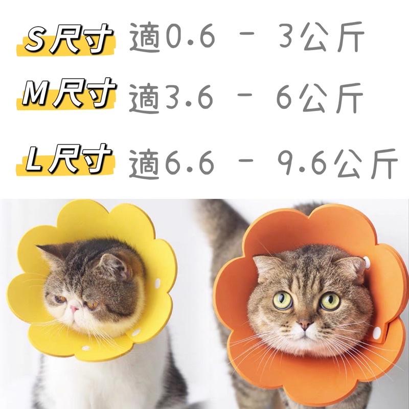 【屋哇☉現貨】 卡扣式 毛氈布  粉色 黃色 橘色 花朵 太陽花圈 頭套 寵物防舔 結紮 手術 細菌感染 眼睛-細節圖6