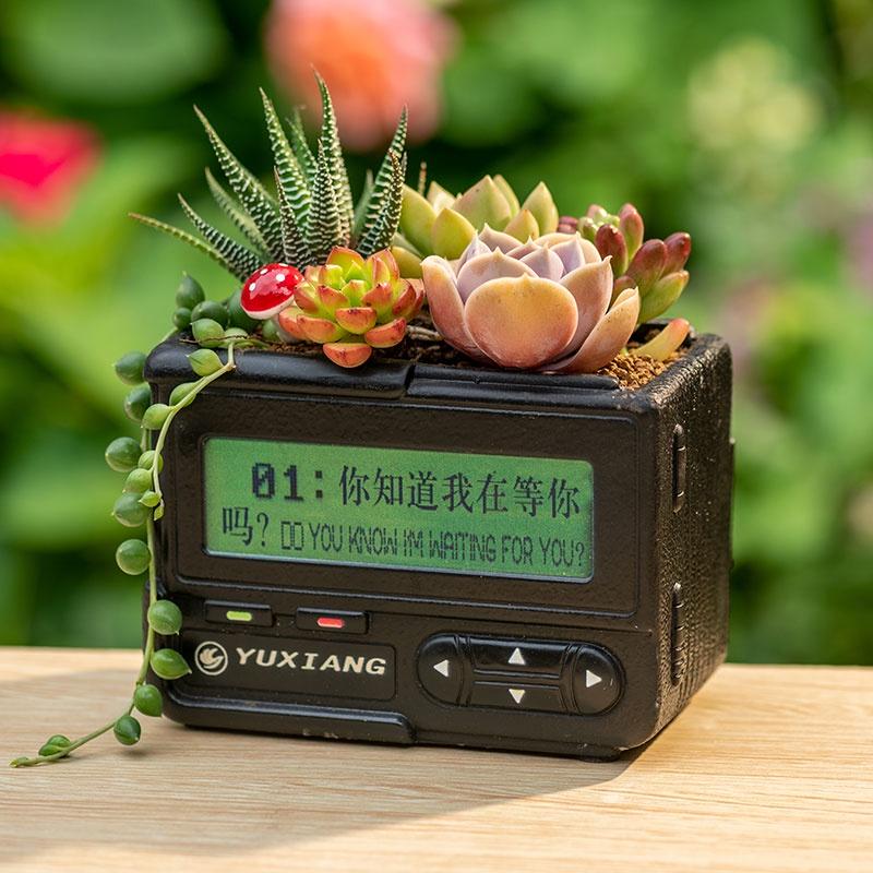【屋哇🎉台灣現貨】BBCall 多肉花器 植栽 電器花盆 古典 典雅Succulents foliage plant-細節圖3
