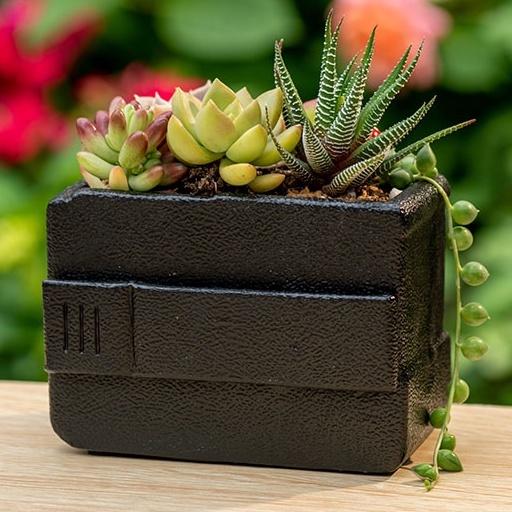 【屋哇🎉台灣現貨】BBCall 多肉花器 植栽 電器花盆 古典 典雅Succulents foliage plant-細節圖4