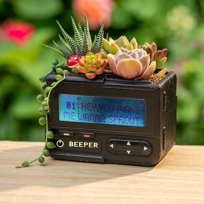 【屋哇🎉台灣現貨】BBCall 多肉花器 植栽 電器花盆 古典 典雅Succulents foliage plant-細節圖5