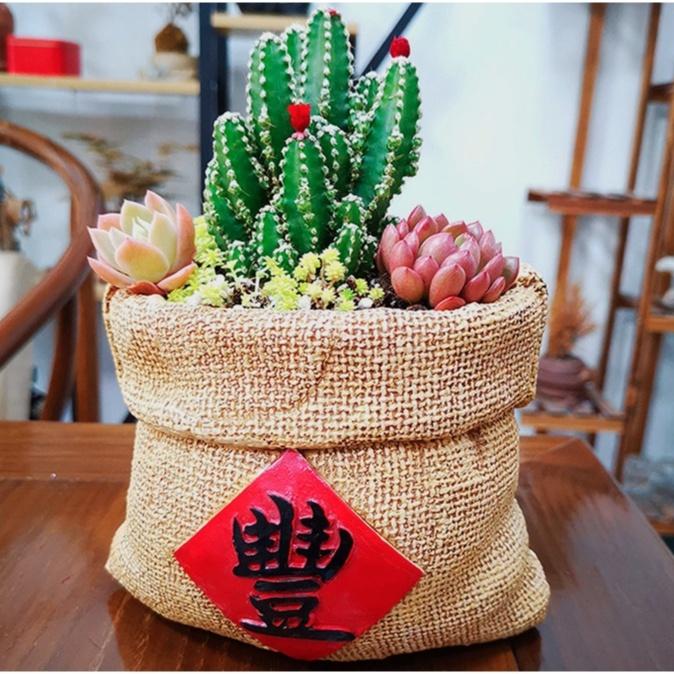 【屋哇🎃現貨】 豐字 麻布袋  花盆 花器 盆栽 多肉 觀葉 植物 辦公室盆栽 室內植物 DECO 福氣 財運 發財-細節圖2