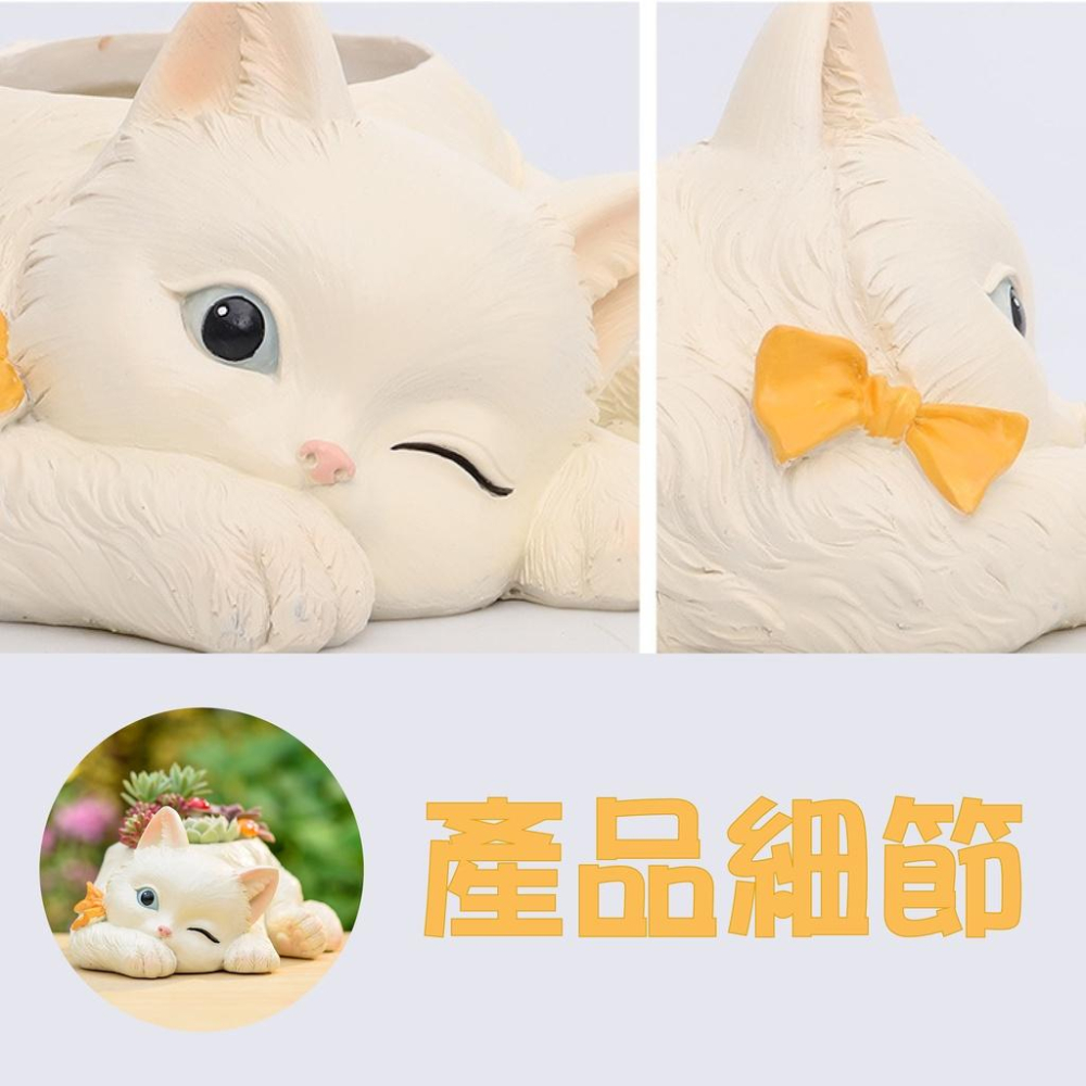 【屋哇🪴現貨】貓 貓咪 多肉花盆 新款可愛動物 造型猫咪  創意 卡通 個性 閱讀 眨眼 貓咪 盆栽 花器 花盆 園藝-細節圖7