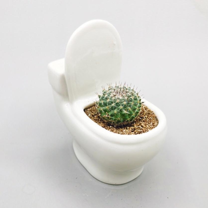 【屋哇🔥現貨】馬桶 肉肉绿植小盆栽  創意 卡通 個性 白色 陶瓷 大口径 花盆 花器 蠟燭燭台 薰香 香氛 禮物-細節圖2
