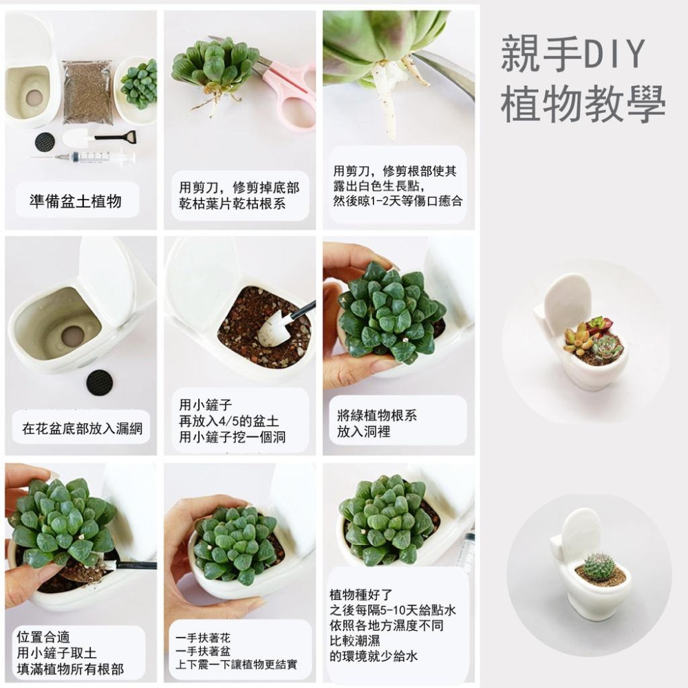 【屋哇🔥現貨】馬桶 肉肉绿植小盆栽  創意 卡通 個性 白色 陶瓷 大口径 花盆 花器 蠟燭燭台 薰香 香氛 禮物-細節圖3